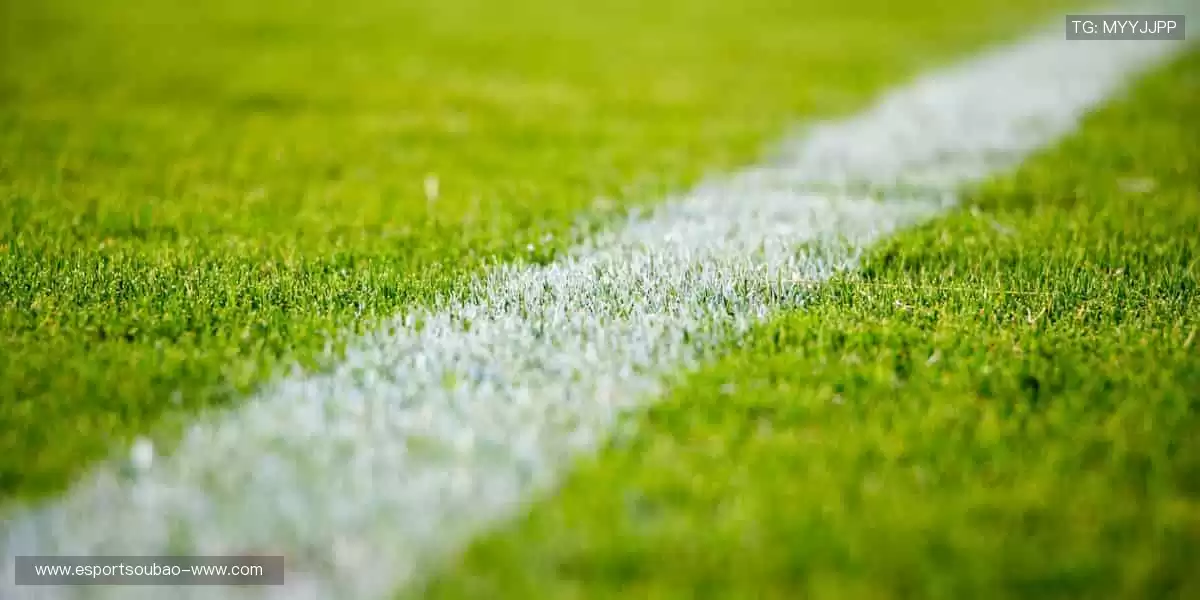 💻互动弹幕,让热爱不再孤单!